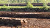 Ireland’s peatland paradox: Restoring bogs while commercial extraction continues