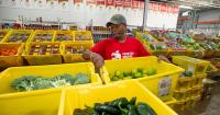 Illinois food pantries get millions in grants as demand for food grows