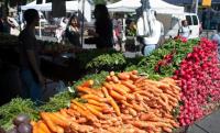 Farmer-market links key to farm growth