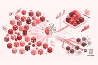 Martech Portfolio Intelligence: Using AI to Decide Which Marketing Technologies Deserve to Survive