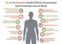 Global study warns of 400 million annual pesticide poisoning cases