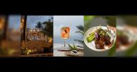 The Forresta Kinaro debuts in Goa, blending global dining, sundowners and late-night energy