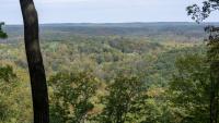 Court halts burning and logging in parts of Hoosier National Forest