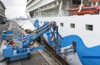 Cruise Ships Expand Shore Power Capability but Port Infrastructure Lags