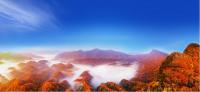 24th Sichuan Guangwu Mountain International Red Leaf Festival to Showcase Asia's Spectacular Autumn Colors