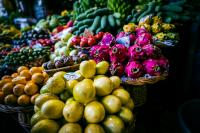 Rabobank sees room for European tropical fruit production despite climate hurdles