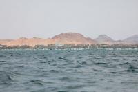 Italy's minister calls for more ships to protect Red Sea navigation