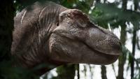 We Knew T. Rex Was Warm-Blooded. Now Scientists Know How Hot