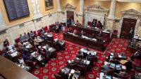 Election 2026, Maryland Senate candidates answer issue questions