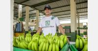 Asia is the new frontier for Ecuadorian banana exporters