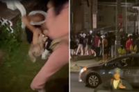 Pennsylvania college students beaten unconscious, dragged by hair as mob invades off-campus house