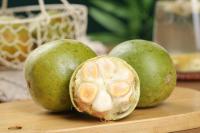 Monk Fruit Research Expands Focus Beyond Sweetness to Bioactive Compounds and Healthy Aging