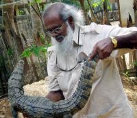 At 86, Sri Lanka’s ‘father of herpetology’ inspires a new conservation generation