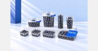 Demand for larger blueberry packs takes the market beyond the familiar 125g