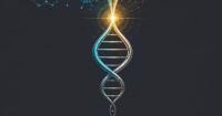 This Latest Book Solves Biopharma’s Multi-Billion Dollar Translation Gap