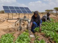 Building Resilience: Africa’s $5.1 Billion Push for Energy and Food Security