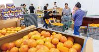 African Union envoy calls for shared value chains