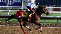 2026 Jockey Club Gold Cup predictions, horses, odds, time, post positions: Surprising picks by top expert