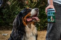 Wuffes Enters Dog Dental Category with SuperYolk IgY Technology in Dental Powder Range