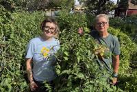 St. Cloud State University Garden Marks 22 Years Growing Minnesota Vegetables For Community