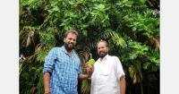 India’s jackfruit abundance drives new uses and investment