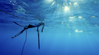 Niue and Barcelona 2026 Earthshot Prize Finalists for ocean work