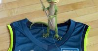 Minnesota Lynx Name GEICO Official Jersey Patch Partner