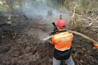 Indonesia Commits to ASEAN Mechanisms for Forest Fire Response