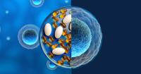 Cell-ing smarter: Healthy aging