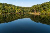 Two Pa.-based companies involved in leasing land in Ohio's Wayne National Forest for fracking