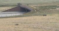 Overpasses, underpasses, fencing reduce wildlife collisions by 91% in Colorado