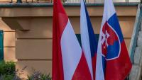Head of Parliament Attends S3 Meeting in Austria