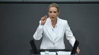 Far-right AfD plans talks to get Russian gas back for Germany