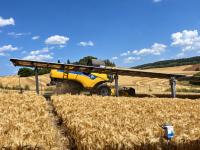 French agrivoltaic trials cut water loss, lift maize yields by 19.6%
