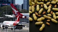 Airlines urged to make safety changes after passenger’s anxious flight with peanut allergy