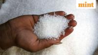 Government relaxes sugar stockholding limit for bulk consumers but only for imported sugar