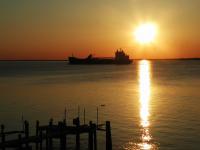 state roundup: trump’s executive order on chesapeake bay called ‘bizarre’; luminis health sued over cybersecurity incident