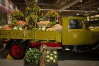 Petals & Pistons: 13 fabulous photos as flowers take over Leyland's British Commercial Vehicle Museum