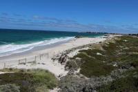 Swimmer Killed in ‘Shocking’ Shark Attack at Popular Beach Destination