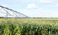 Agriculture conference takes aim at import dependence