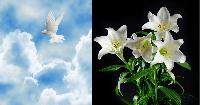 Gary Arthur Stielow, 61, of Pleasant Prairie – Obituary