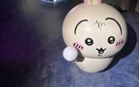 Step inside the cute and sometimes dark world of Chiikawa in Tokyo