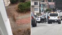 Mountain lion captured after roaming San Francisco neighborhood