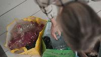 Nebraska ranks 40th nationally in recycling rate, experts say the full picture is complex