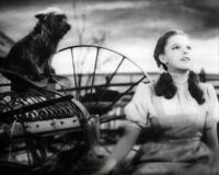 Today’s politics make me feel like Dorothy in ‘The Wizard of Oz’