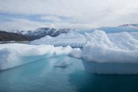 The New Arctic