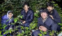 Latvian border guards stop more illegal crossers