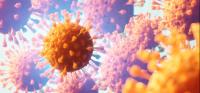 Measles Returns to Maine as National Cases Surge Past 3,000