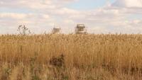 Kazakhstan harvests over 16 mln tons of grain