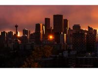 High demand in some housing segments points to market resiliency